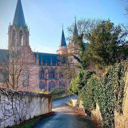 Schoenster Blick Auf Oppenheim! Zewnętrze zdjęcie